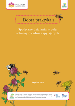 Dobra praktyka 1