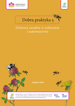 Dobra praktyka 5