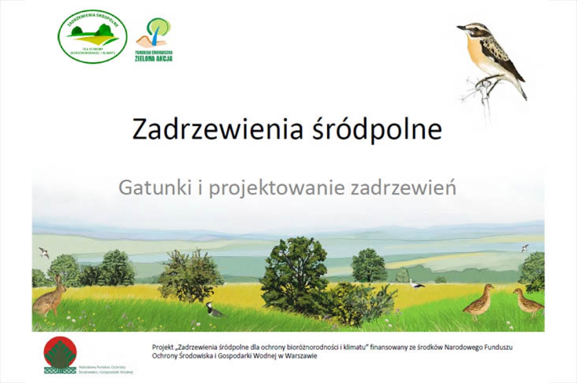 Zadrzewienia śródpolne - dobór gatunków, projektowanie zadrzewień