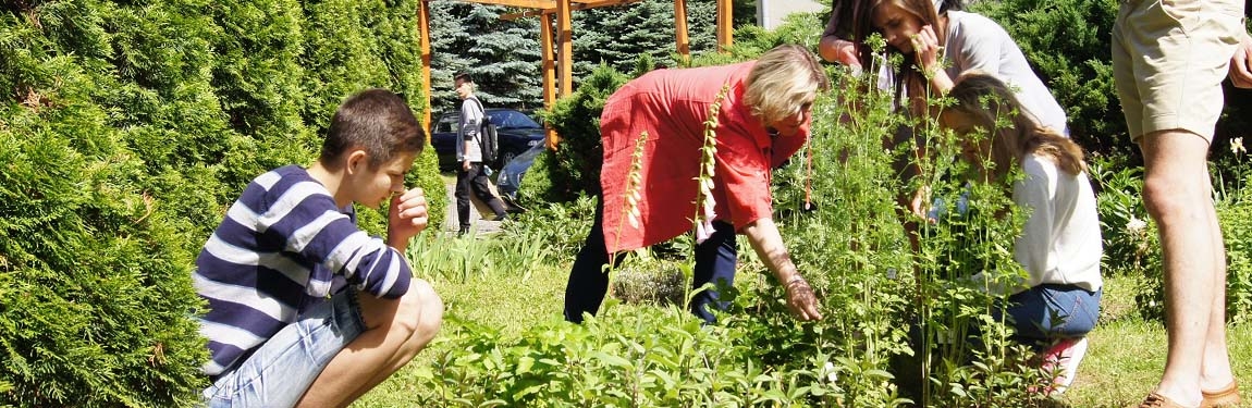 Nasadzenia dla pszczól w Giebułtowie