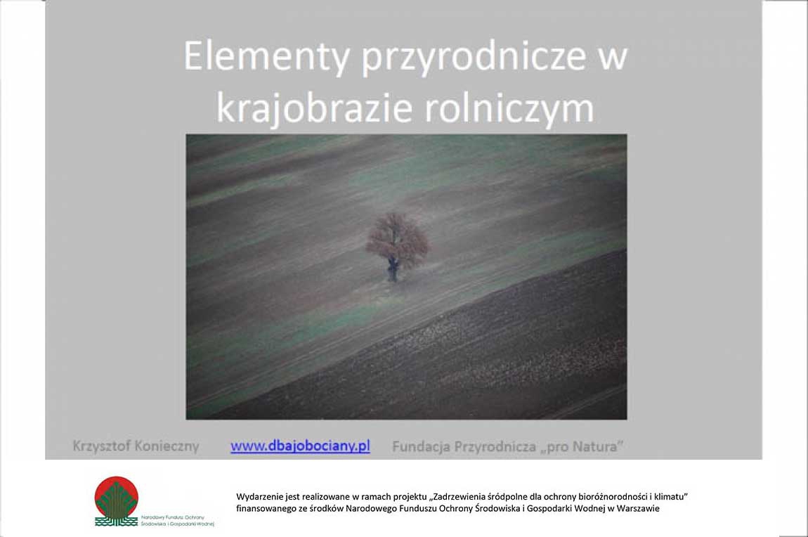 Elementy przyrodnicze w krajobrazie rolniczym