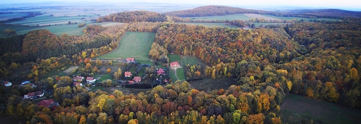 Wyniki konkursu fotograficznego „Drzewa robią dobry klimat na wsi”