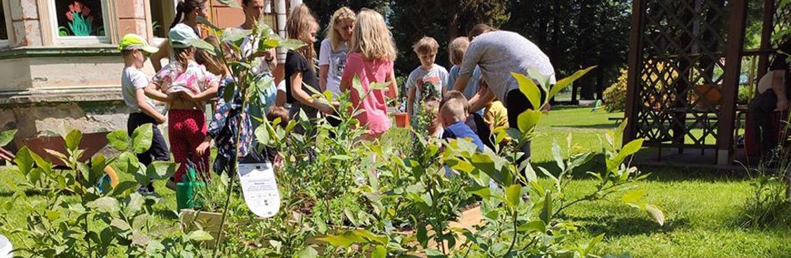 Rabaty edukacyjne dla pszczół w ramach współpracy transgranicznej