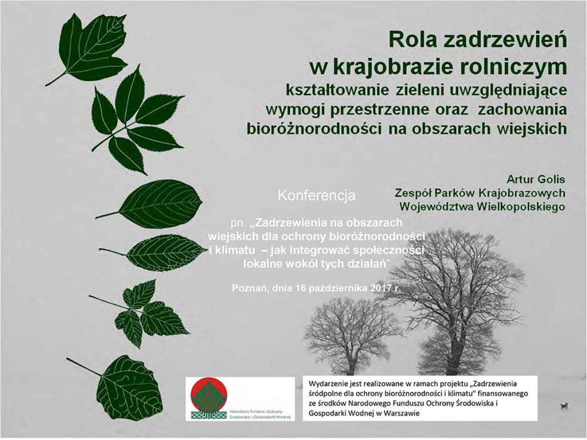 Rola zadrzewień w krajobrazie rolniczym