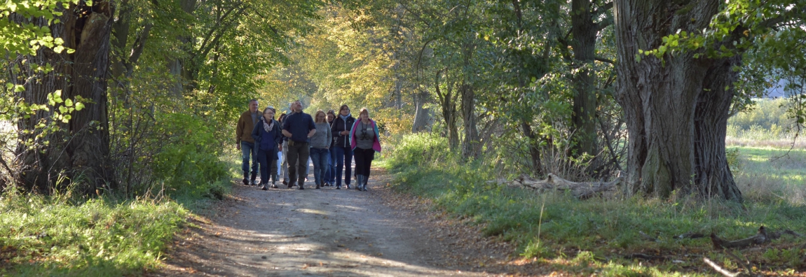 Fotorelacja ze szkolenia edukatorów bioróżnorodności